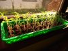 thumbnail_IMG_20200322_154823457.jpg