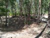 IMG_20200519_160043.jpg