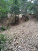 IMG_20200521_133405.jpg