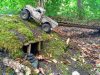 thumbnail_IMG_20200823_183024972.jpg