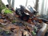 thumbnail_IMG_20210110_142718517.jpg