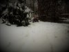thumbnail_IMG_20210115_165752600.jpg