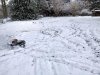 thumbnail_IMG_20210208_121951489_HDR.jpg