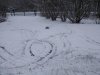thumbnail_IMG_20210208_121540846.jpg