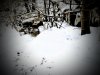 thumbnail_IMG_20210208_163503766~2.jpg