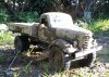 IMG_20210224_213011_435.JPG