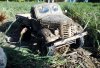 IMG_20210224_212018_098.jpg