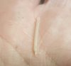 20160925_193713.jpg