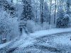 thumbnail_IMG_20210406_065830654.jpg