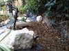 IMG_20210409_172617.jpg