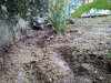 IMG_20210411_163608.jpg