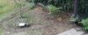 IMG_20210411_212421_029.JPG