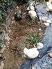 IMG_20210411_165848.jpg