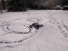 thumbnail_IMG_20210208_121954754888.jpg