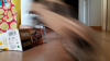 Instantané - 10.png