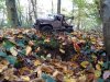 thumbnail_IMG_20211111_155209035.jpg