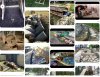 D4E71984-8C36-463F-9FBF-593A29655C13.jpeg
