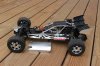 IMG_3242.jpg