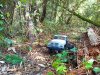 IMG_20220620_173130.jpg