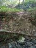 IMG_20220921_144648.jpg