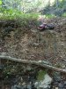IMG_20220921_144835.jpg