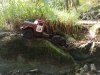 IMG_20220921_154306.jpg