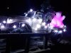 thumbnail_20221212_180458.jpg