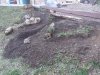 thumbnail_20230403_180651.jpg