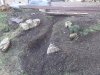 thumbnail_20230403_180642.jpg