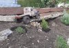 thumbnail_20230408_170129.jpg