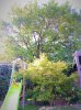 IMG_20230525_084658.jpg