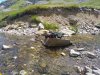 IMG_20230702_185240.jpg