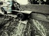 thumbnail_20231028_170800.jpg