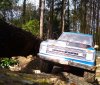 IMG_20240210_120804.jpg