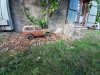 thumbnail_20250511_182240.jpg