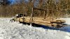 IMG_20251225_135311.jpeg
