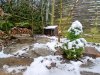 20260314_094353.jpg
