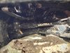 IMG_20260404_172326.jpeg